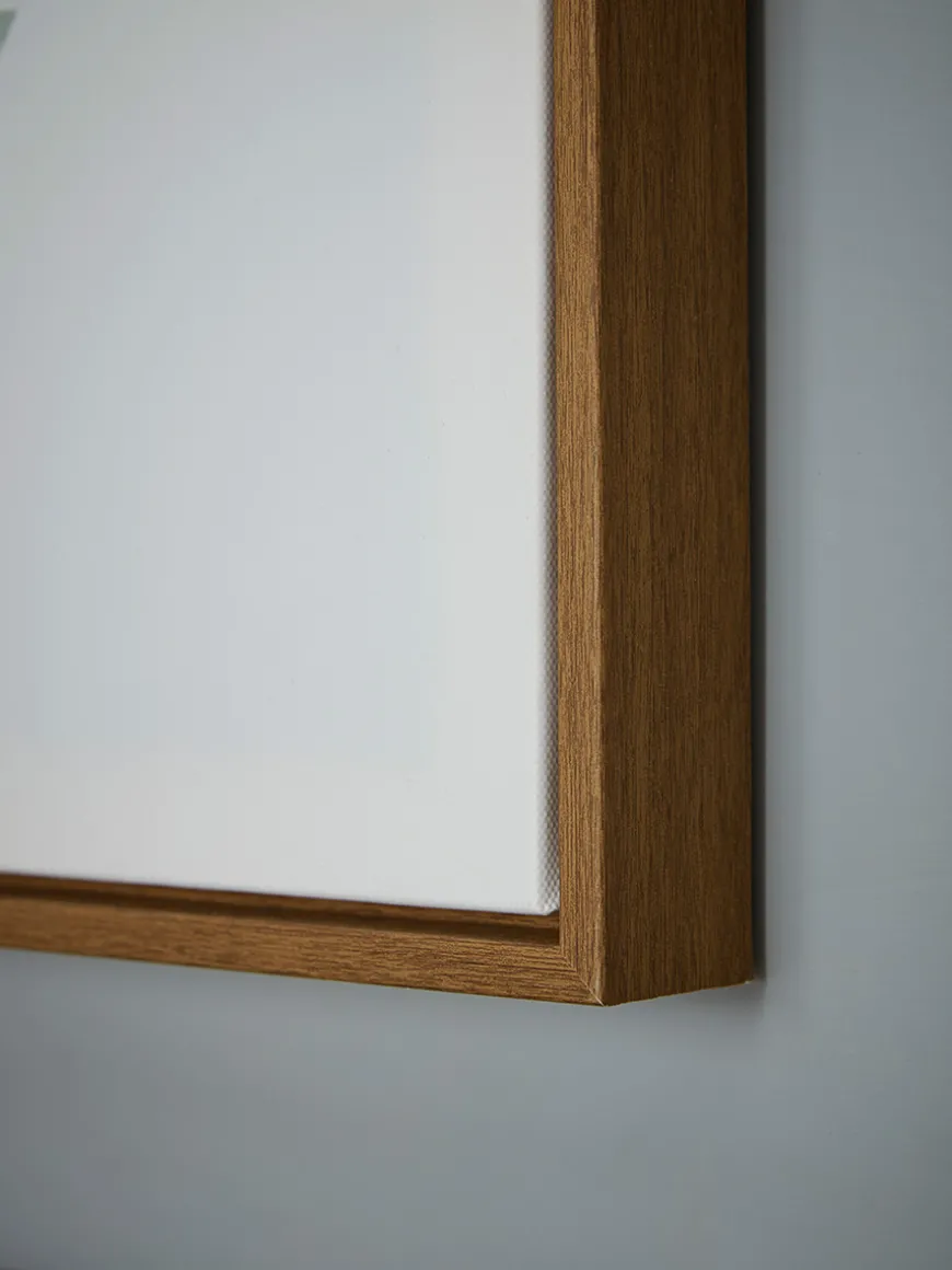Three Framed Leaf Prints