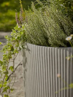 Three Ribbed Planters