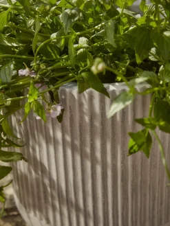 Three Ribbed Planters