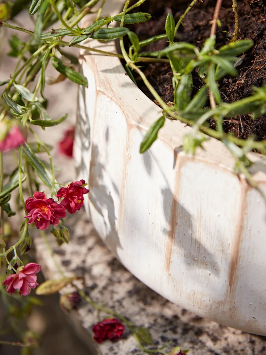 Three Sand Fluted Planters - Small