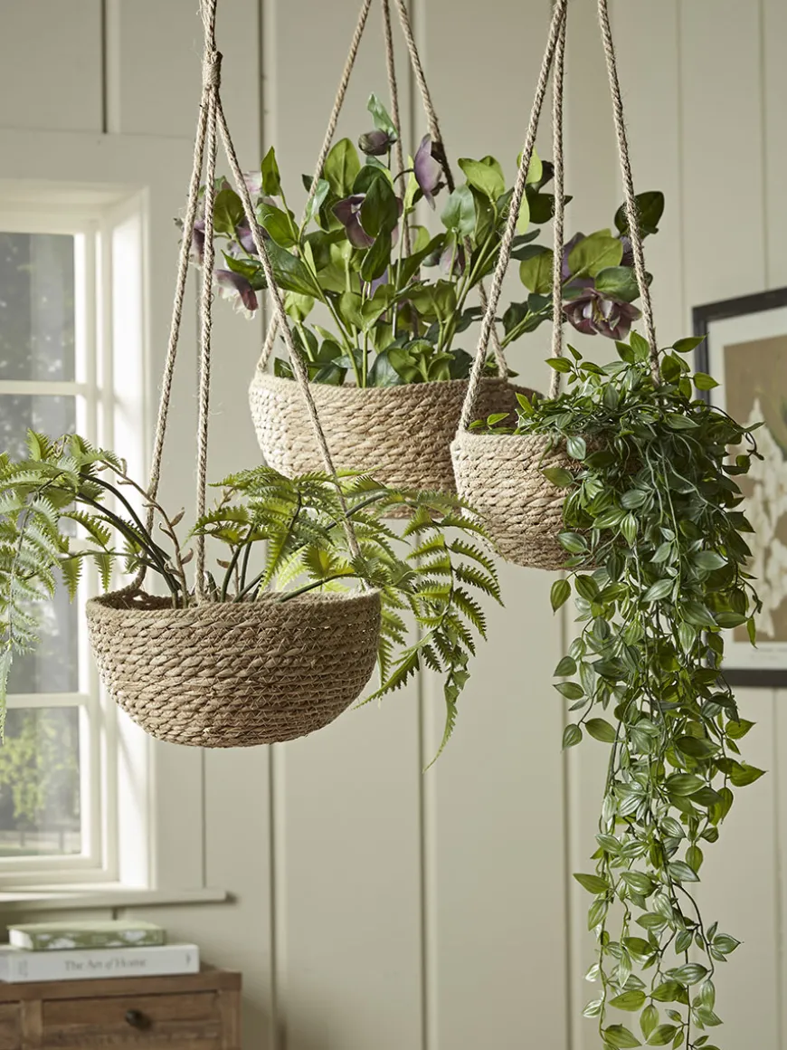 Three Seagrass Hanging Planters