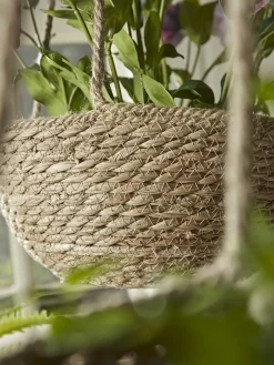 Three Seagrass Hanging Planters