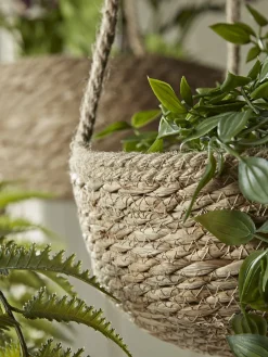 Three Seagrass Hanging Planters