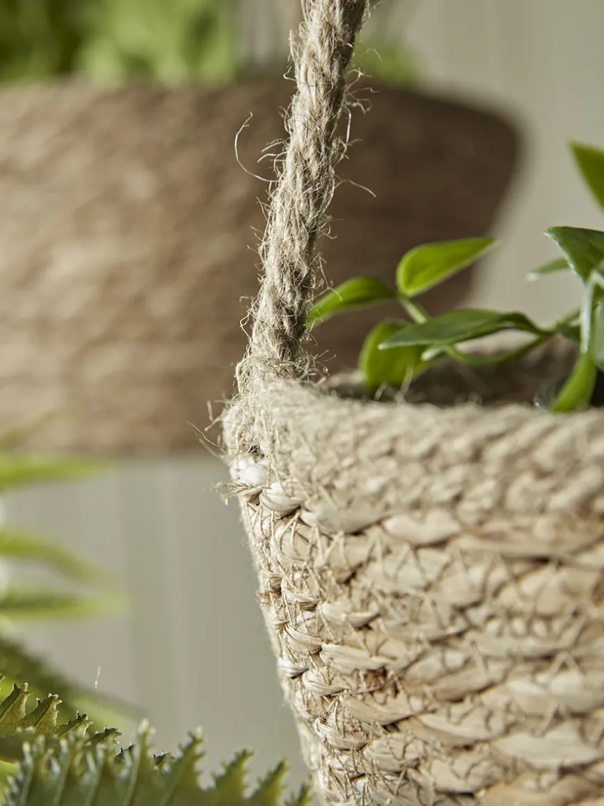 Three Seagrass Hanging Planters