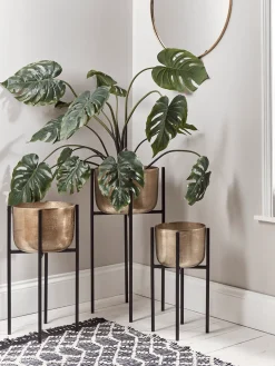 Three Standing Brass Planters