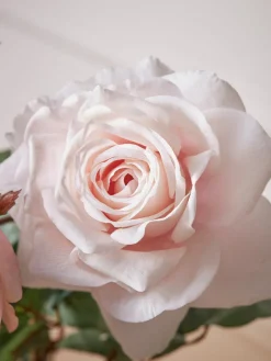 Three Sumptuous Faux Rose Stems - Blush Mix