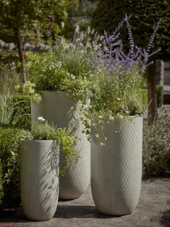 Three Tall Etched Planters