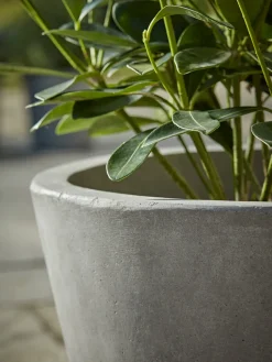 Three Traditional Concrete Planters