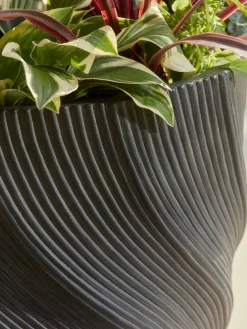 Two Anthracite Spiral Planters - Large