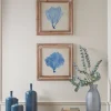 Two Blue Coral Framed Prints