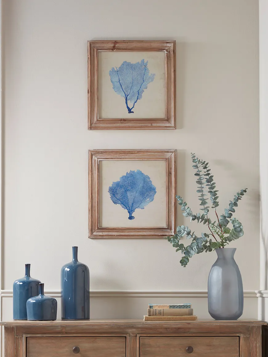 Two Blue Coral Framed Prints