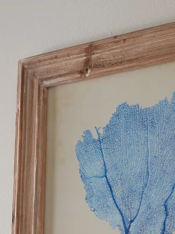 Two Blue Coral Framed Prints