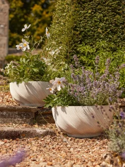 Two Cream Spiral Planters - Small