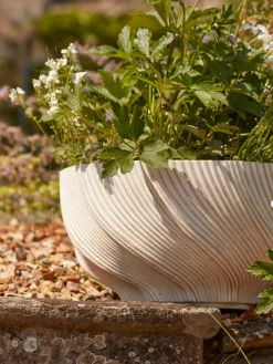 Two Cream Spiral Planters - Small