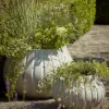 Two Flourette Planters