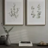 Two Framed Eucalyptus Prints