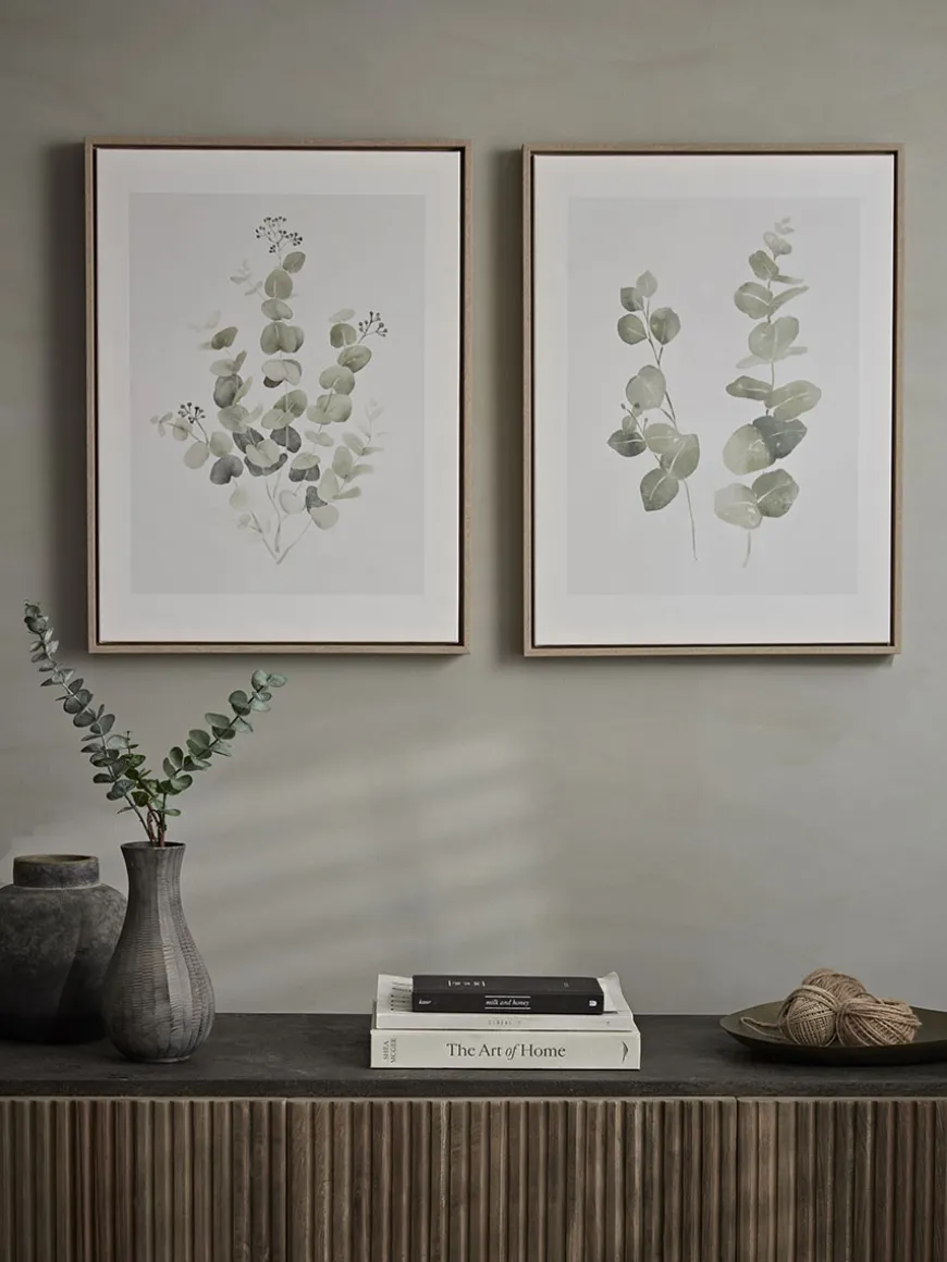 Two Framed Eucalyptus Prints