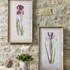 Two Iris Framed Prints