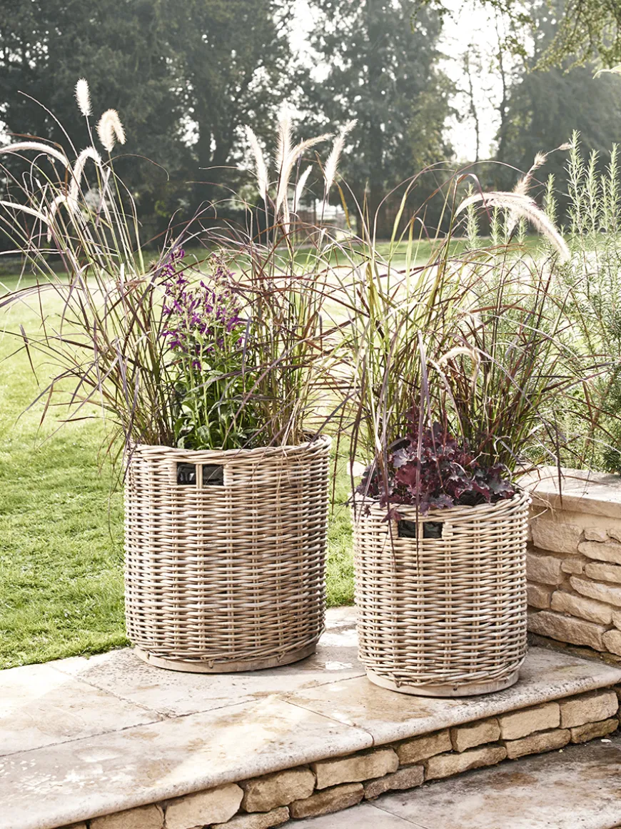 Two Round Rattan Planters