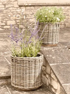 Two Round Rattan Planters