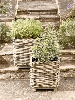Two Square Rattan Planters