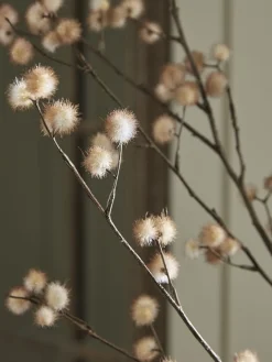 Two Tone Pom Pom Spray
