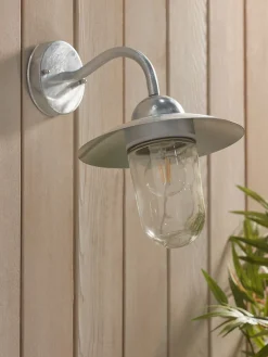 Zinc Swan Neck Wall Light